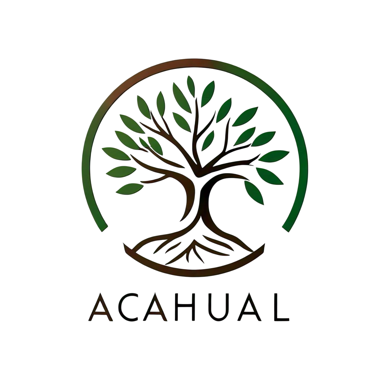 El Acahual