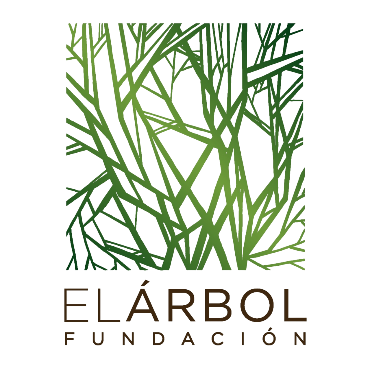 El Árbol Fundación