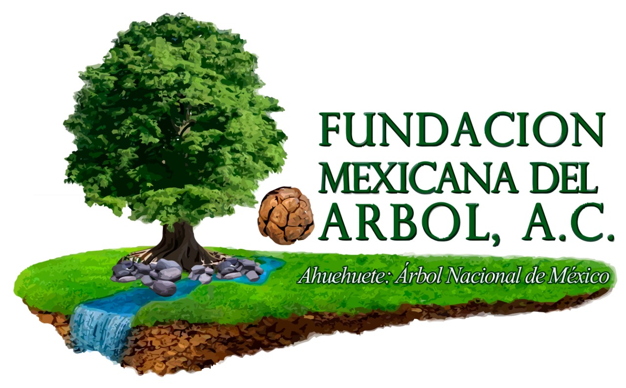 Fundación Mexicana del Árbol